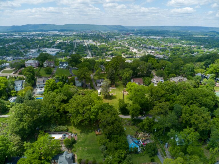 Aerial view showcasing the lush suburban greenery and houses in Houston, TX on a bright summer day.